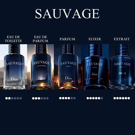 Dior Sauvage Elixir Parfum 100 ml