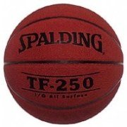 Spalding React TF-250 Basketball Indoor und Outdoor