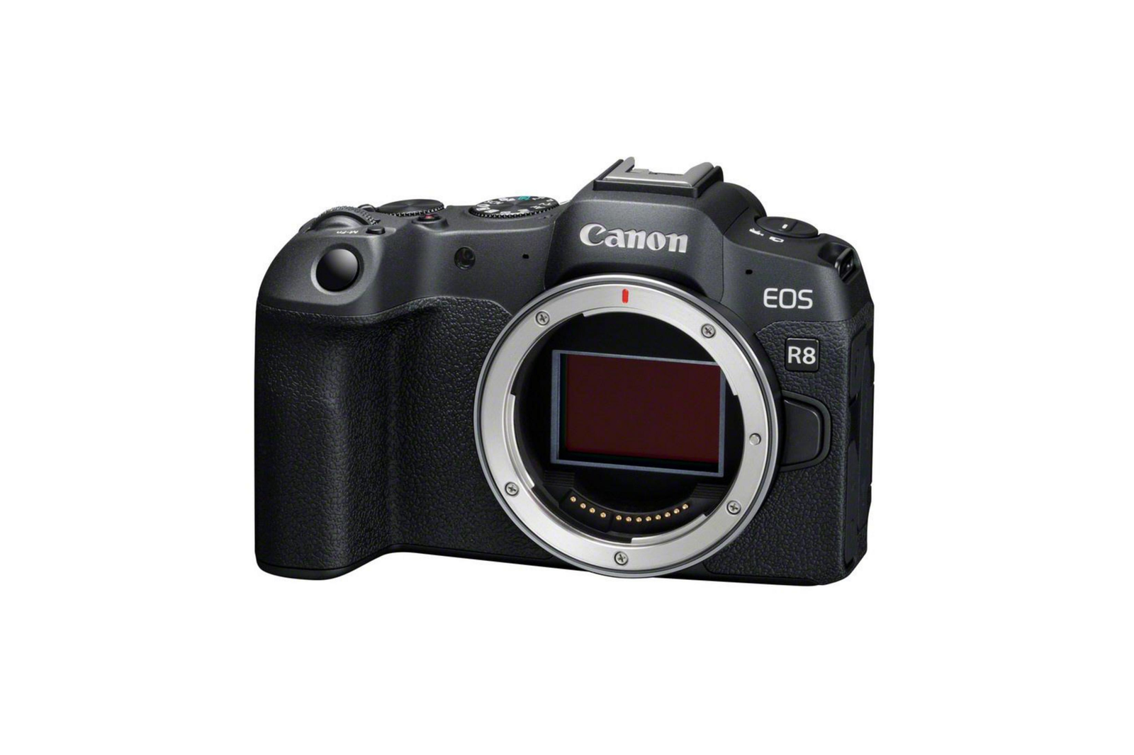 Canon EOS R8 Vollformat-Systemkamera Gehäuse