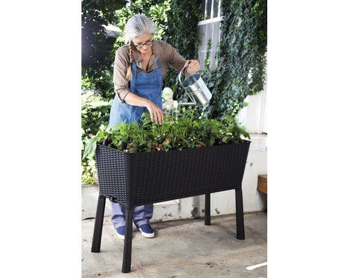 Keter Easy Growing Hochbeet auf Stelzen mit Erdbewässerung 120 l
