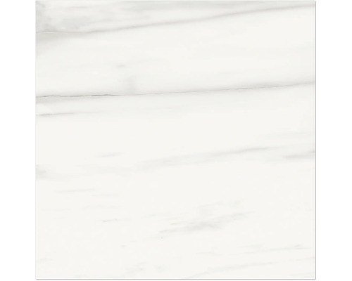 Mirava Feinsteinzeug Wand- und Bodenfliese Lucca Bianco weiß marmoriert 60 x 60 cm