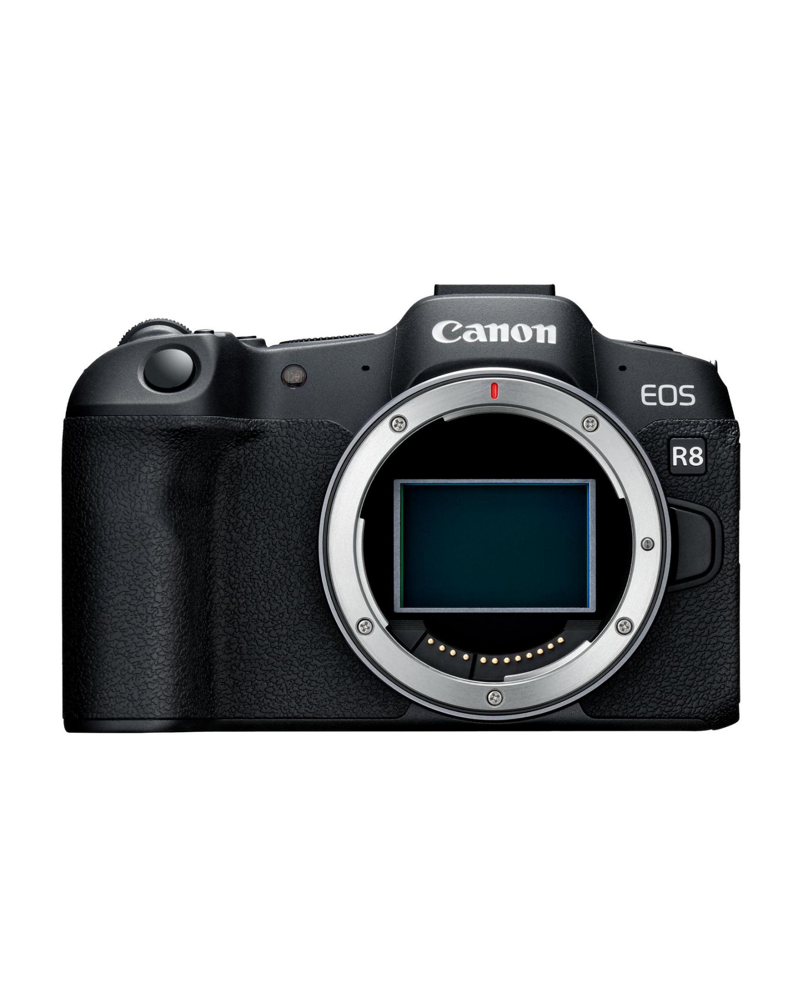 Canon EOS R8 Vollformat-Systemkamera Gehäuse