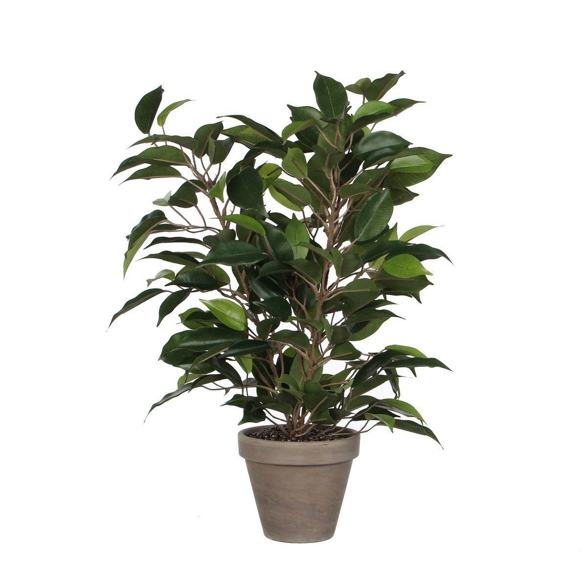 Mica Decorations Ficus Natasja Kunstpflanze Grün im grauen Topf 40 cm