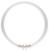Philips Master TL5 Circular 22 W/830 Ringleuchtstofflampe 2GX13 dimmbar