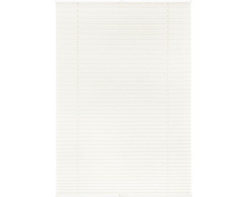 Lichtblick Faltenplissee Tageslicht Crush-Optik weiß 65 x 130 cm mit Seitenverspannung