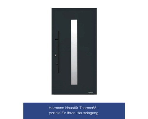 Hörmann Haustür Thermo65 Motiv 610S anthrazitgrau RAL 7016 110 x 210 cm links